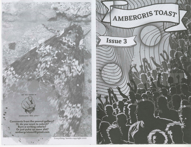 black-and-white perzine collection of poetry, creative writing