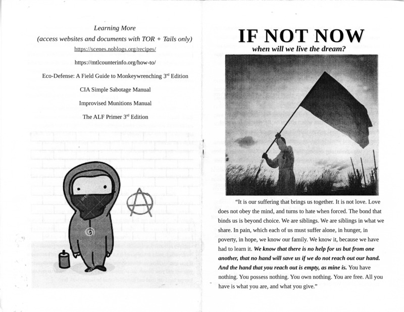 anarchist essay about direct action