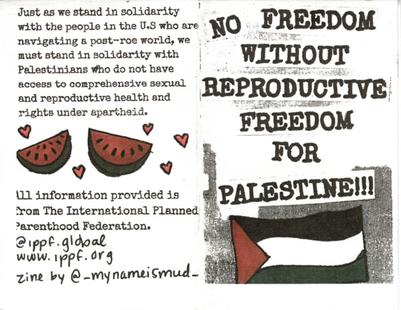 essay about reproductive freedom in Palestine
