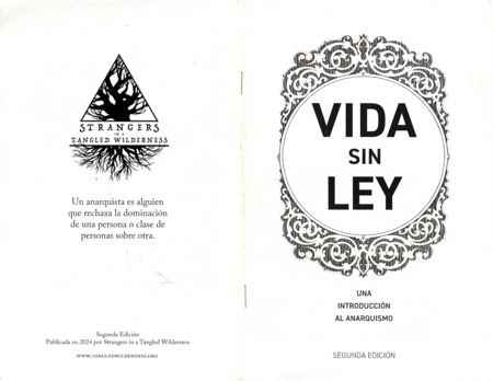 informational zine in Spanish about anarchism